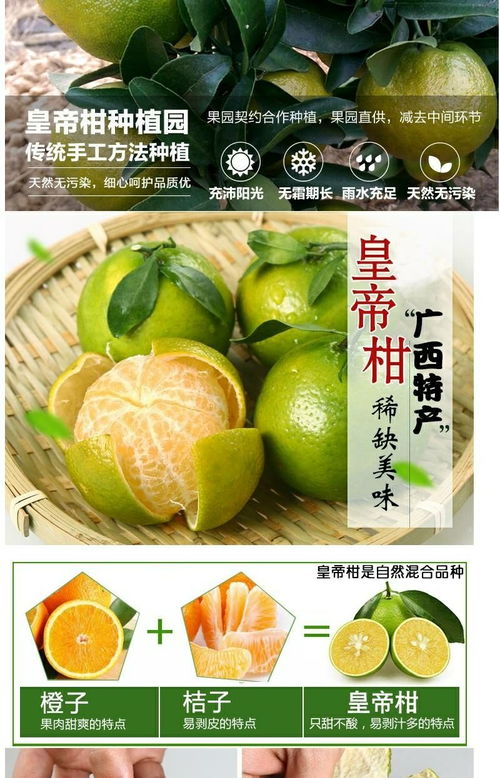 廣西皇帝柑 應(yīng)季鮮果，薄皮多汁，整箱批發(fā)包郵到家
