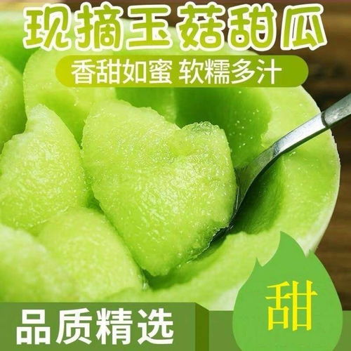 清甜爽脆，夏日瓜香——玉菇甜瓜、哈密瓜、羊角蜜當(dāng)季批發(fā)指南