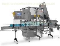 【W(wǎng)L-FGZ-200直線粉劑灌裝機(jī)】全解析 技術(shù)、品牌與市場供應(yīng)指南